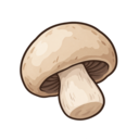 Button Mushroom